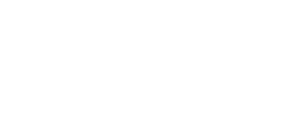 Logo principal de Batitoit en blanc